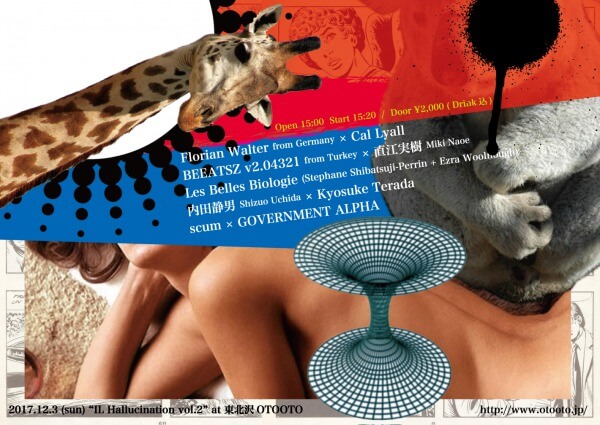 IL Hallucination Vol.2
